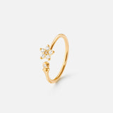 Shooting Stars ring